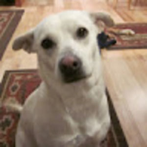 Meet your Posher, Kristy